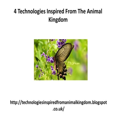 Smart innovations inspired by nature | PPTX