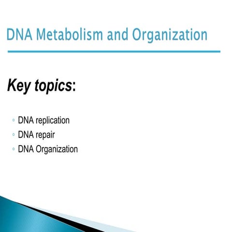 DNA metabolism and organization
