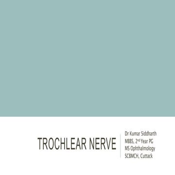 Trochlear nerve