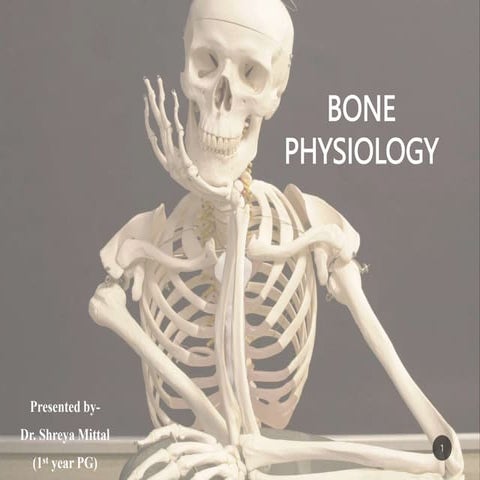 4TH SEMINAR bone physiology.pptx