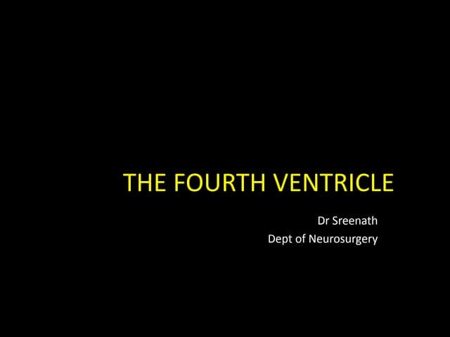 the fourth ventricle, 