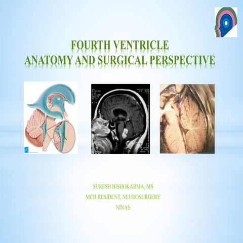 4 th ventricle- Anatomical and surgical perspective