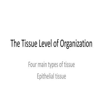 4 tissue types and epithelium
