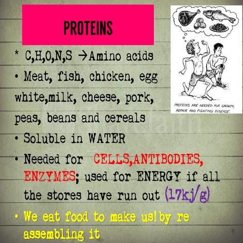 Synthesis of Proteins or the Formation of the Conga Line