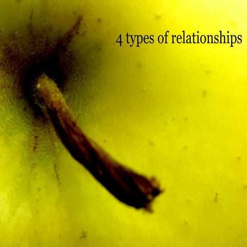 4 types of relationships