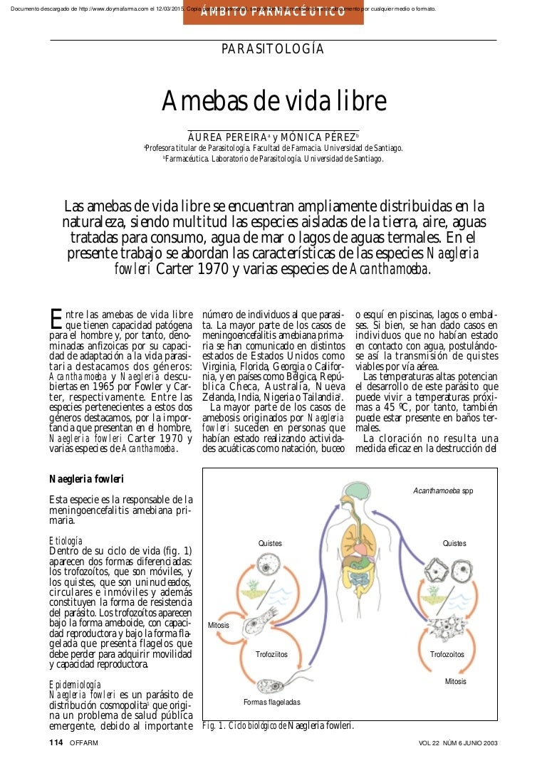 infección por parásitos acanthamoeba infección por parásitos acanthamoeba