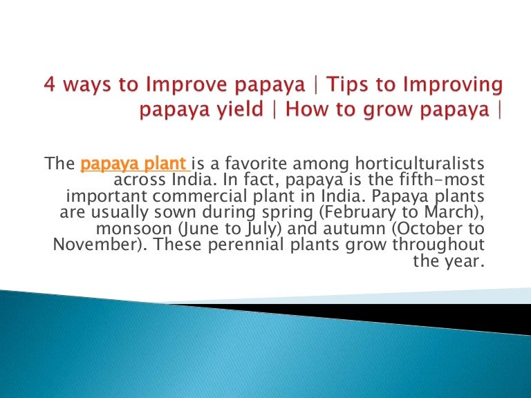 4 ways to Improve papaya Tips to Improving papaya yield How to gr…