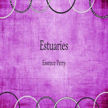 Estuaries