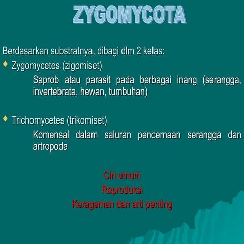 Struktur dan Siklus Hidup ZYGOMYCOTA.PPT
