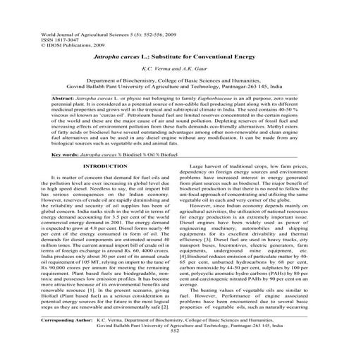 Jatropha Curcas Oil: Substitute for Conventional Energy