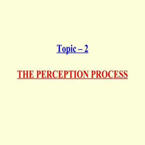 5. the perception process