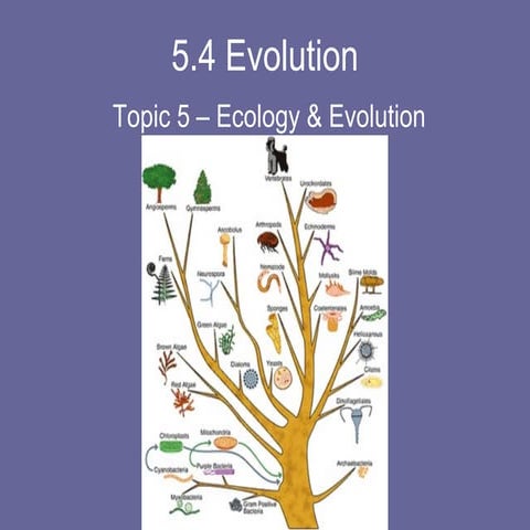 5.4 evolution | PPT