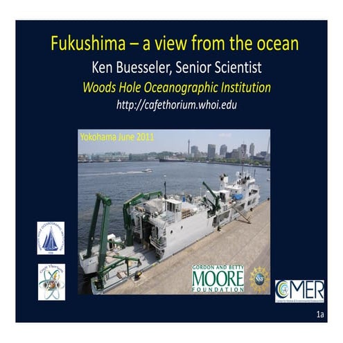 Fukushima – A Vew from the Ocean