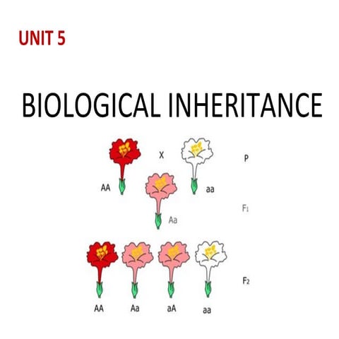 5.biological inheritance