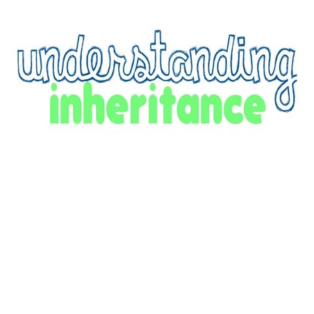 Understanding Inheritance 