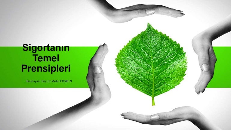 5 Sigortanin Temel Prensipleri