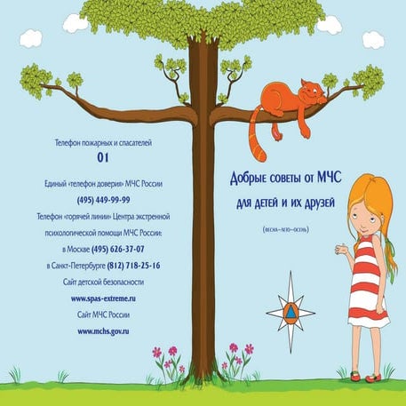 добрые советы   5