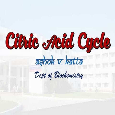 Citric Acid Cycle