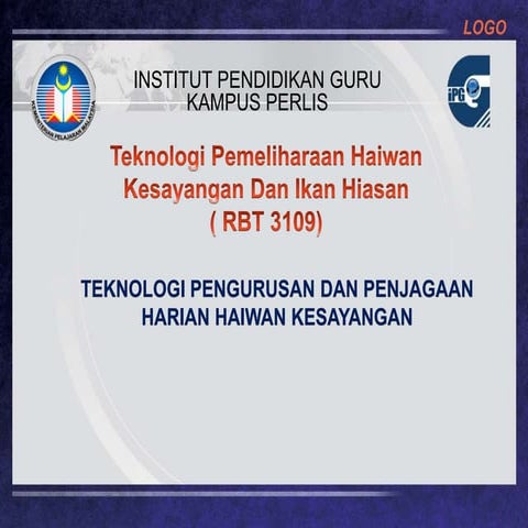 Pengurusan dan penjagaan harian haiwan kesayangan