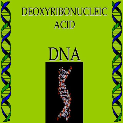 BIOLOGY FORM 5 CHAPTER 5 - 5.3 A (DNA)