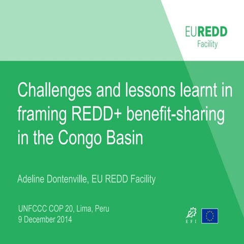 Challenges and lessons learnt in framing REDD+ benefit-sharing in the Congo B...