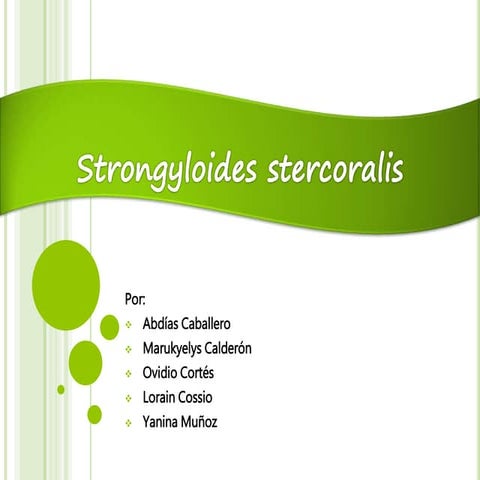 Strongyloides stercoralis