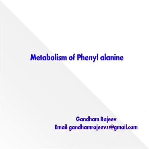 PHENYLALANINE METABOLISM