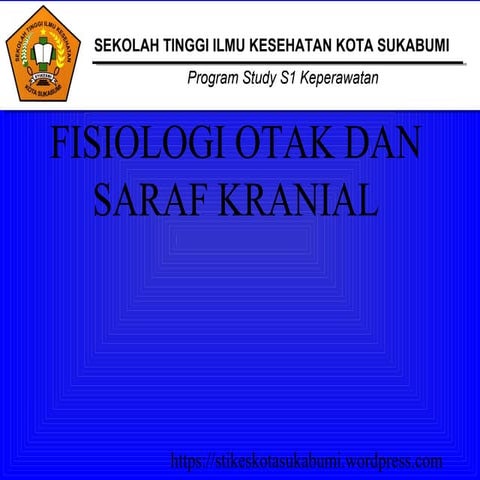 Brain and cranial nerves