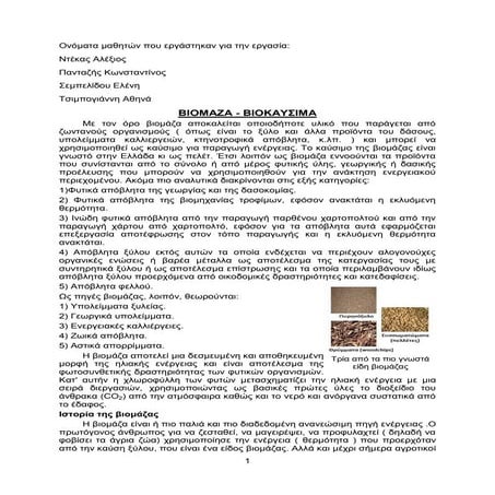 Ενέργεια βιομάζα (Project)