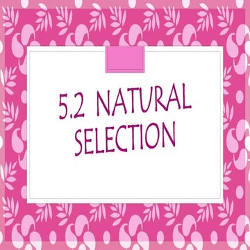 IB Biology : 5.2 Natural Selection