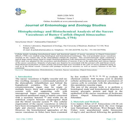 Histophysiology and Histochemical Analysis of the Saccus Vasculosus of Butter...