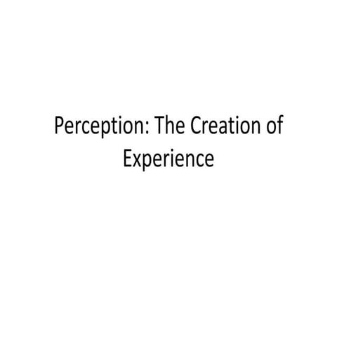 5. perception