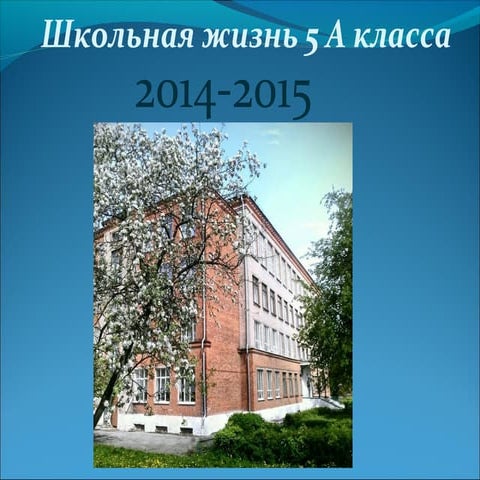 Школьная жизнь 5А класса