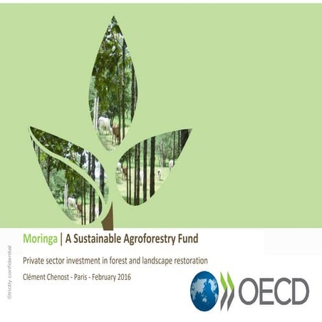 5.2 chenost moringa partnsership