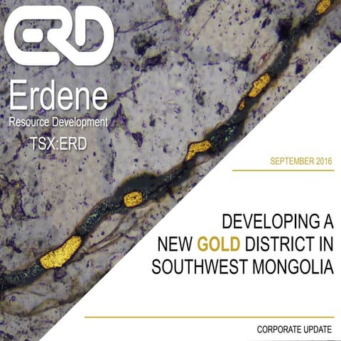 Developing a new gold district in southwest Mongolia | PDF