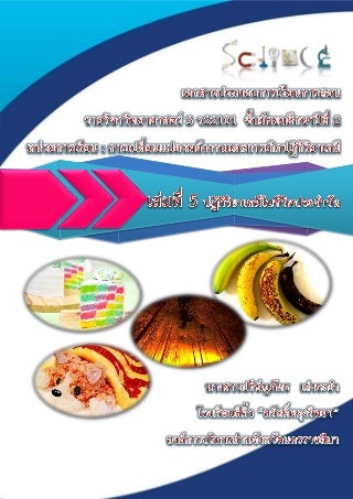 เล่ม 5 ปฏิกิริยาเคมีในชีวิตประจำวัน