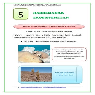 5. Harremanan ekosistemetan