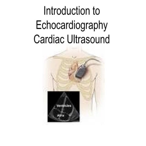 Echocardiography Cardiac Ultrasound