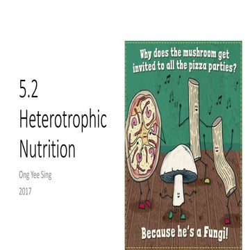 5.2 heterotrophic nutrition UEC Senior 1 Biology