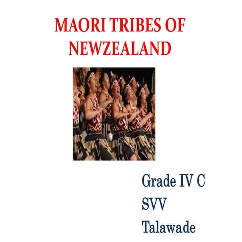 5-maori-tribes-ppt-ppt