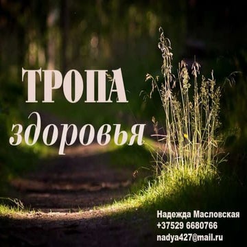 “Кірмаш праектаў” у Мінску: сцяжына здароўя ў Аксакаўшчыне