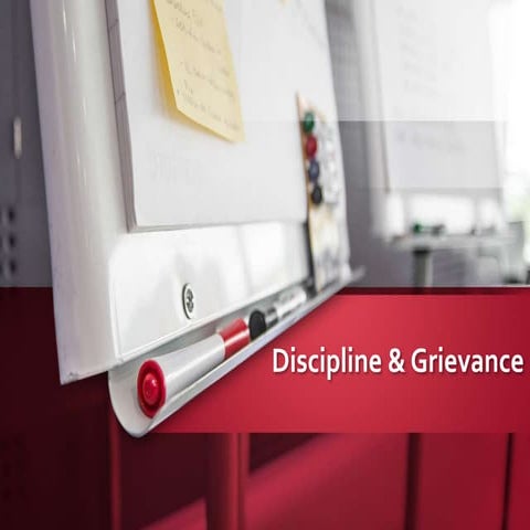 Discipline and Grievance Procedures