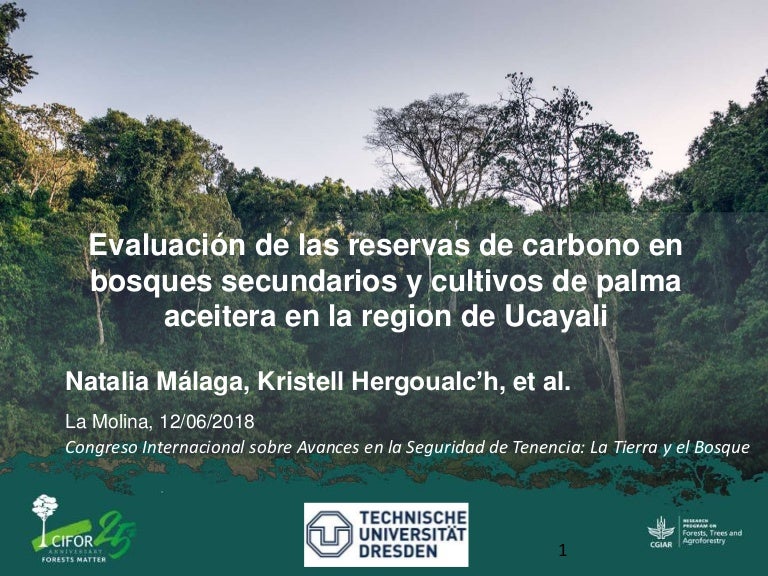 thumbnail of  Evaluación de las reservas de carbono en bosques secundarios y cultivos de palma aceitera en la región de Ucayali