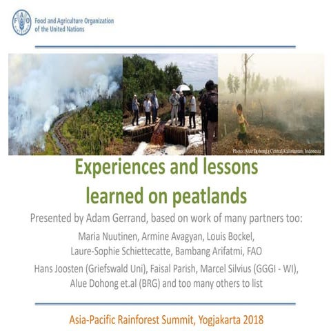 Experiences and lessons learned on peatlands