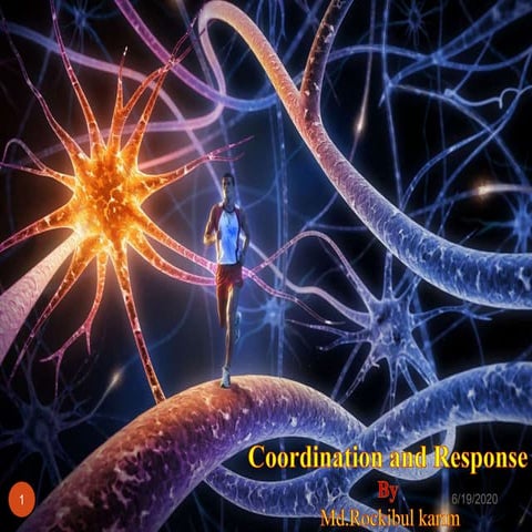 coordination and control