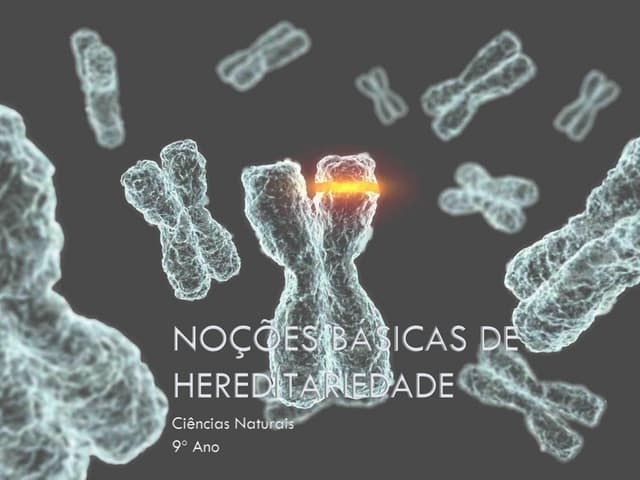 (5)   2008-2009 - 9º ano - noções b...