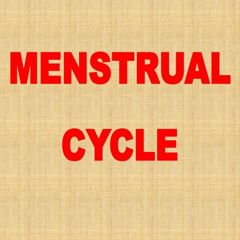 Menstrual Cycle