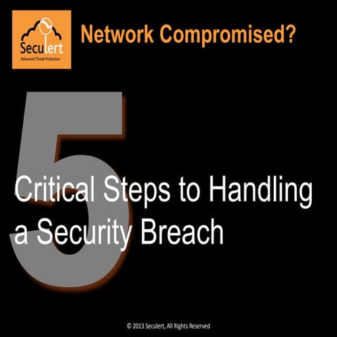 5 Critical Steps to Handling a Security Breach