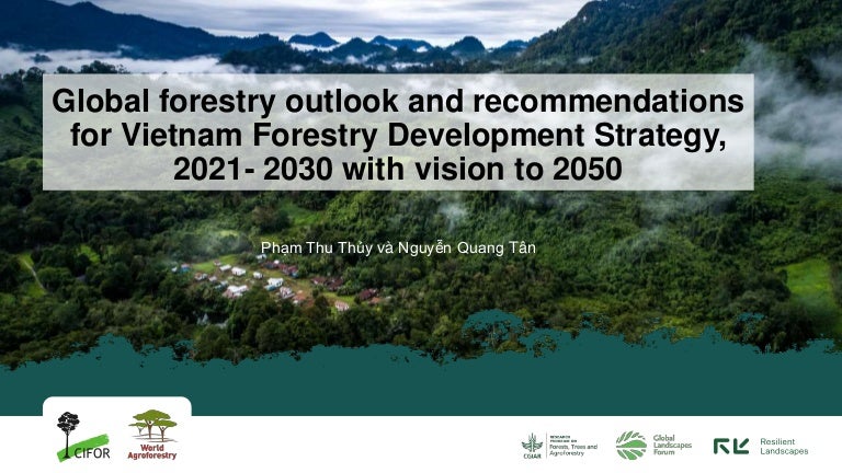 thumbnail of  Global forestry outlook and recommendations for Vietnam Forestry Development Strategy, 2021- 2030 with vision to 2050