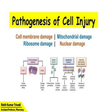 Pathogenesis of cell injury By Rohit Kumar Trivedi